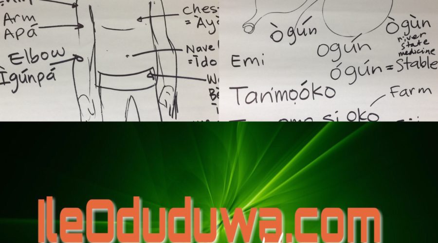 Lesson and Review of Week 8 of Odu’a Organization of Michigan’s Children’s Yoruba Class in Detroit.