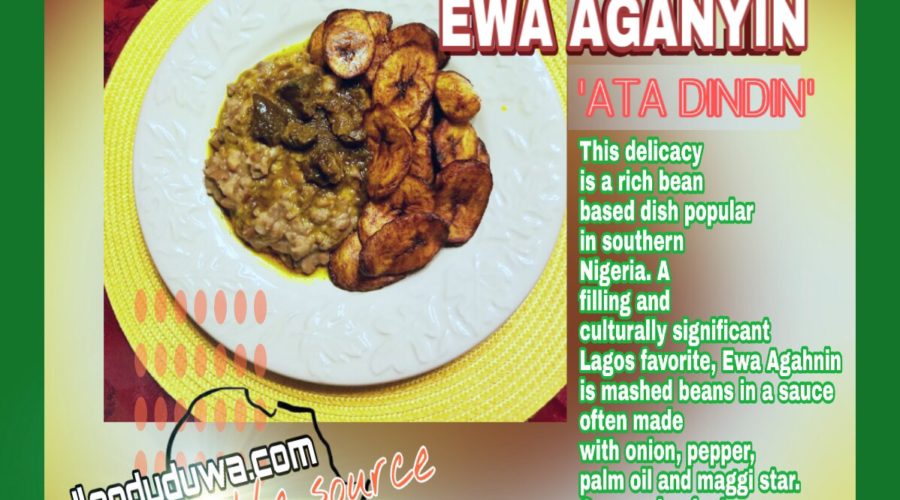 The Chef behind the Africurious Free Taste Fest at the Nigerian American Table Tennis Development Center Grand Opening.