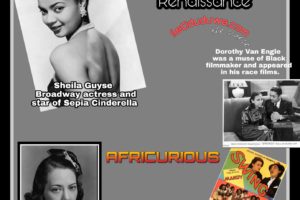 American Beauty and the Harlem Renaissance