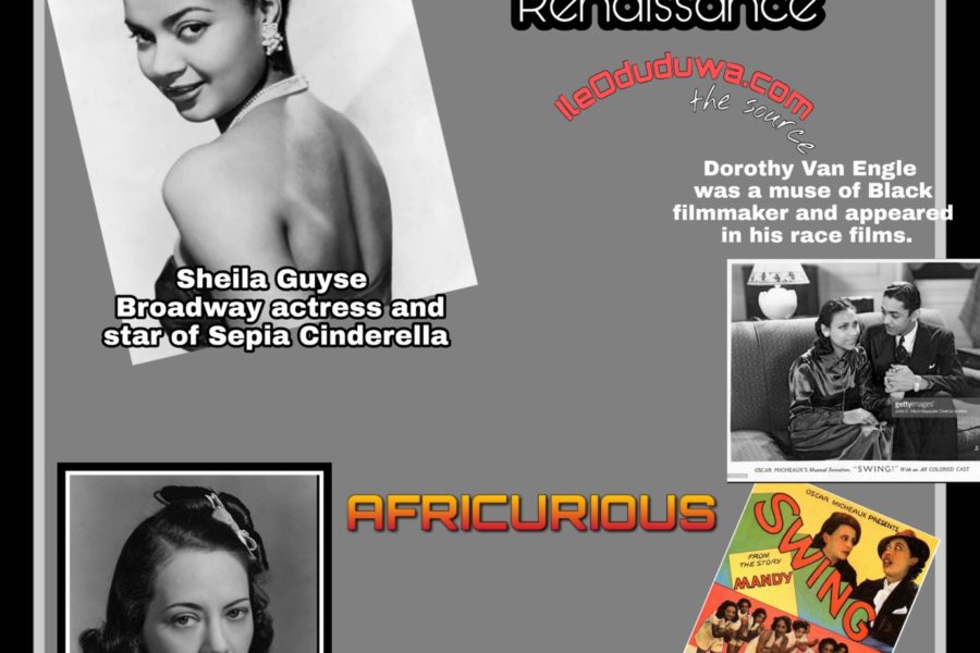 American Beauty and the Harlem Renaissance